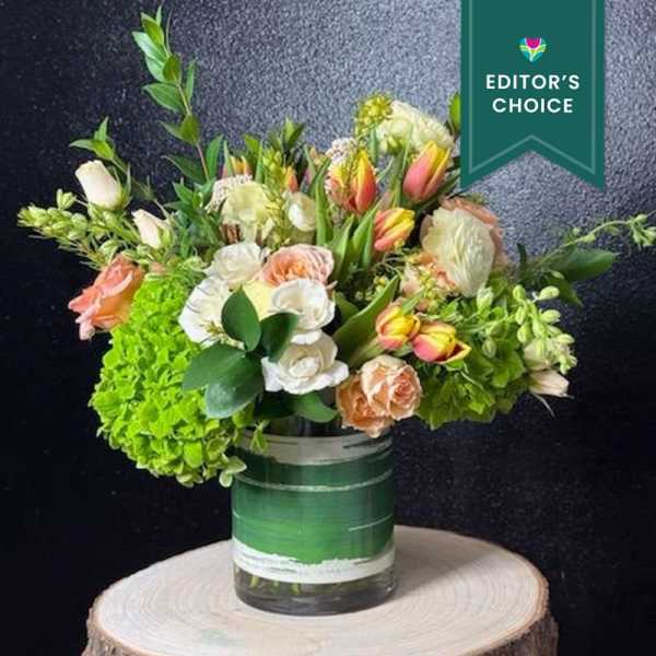 Mom's Garden (Editor's Choice)