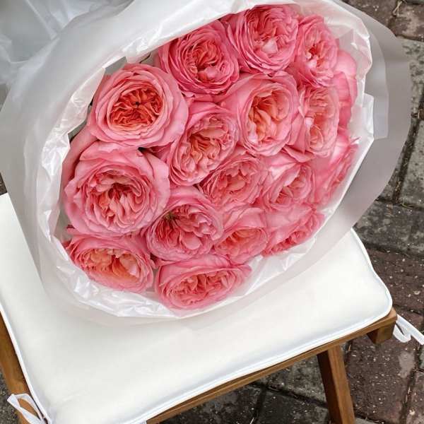 Bouquet of pink roses wrapped in white paper