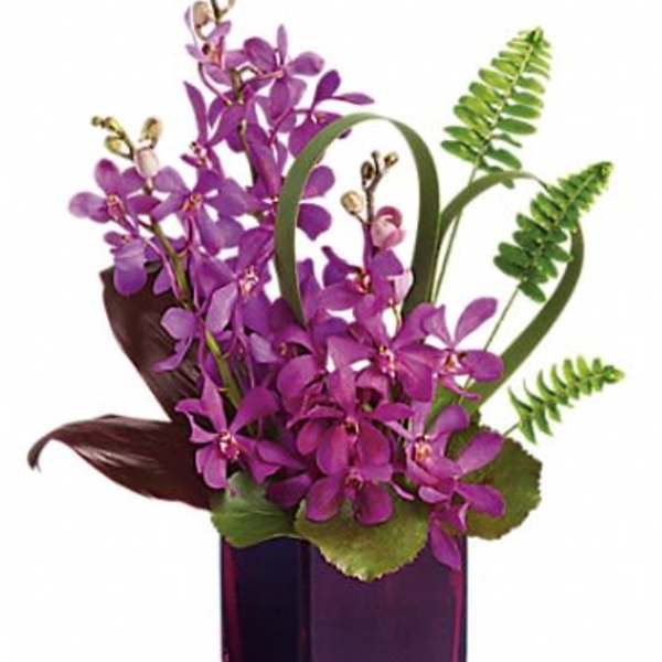 Purple orchid arrangement in a square glass vase