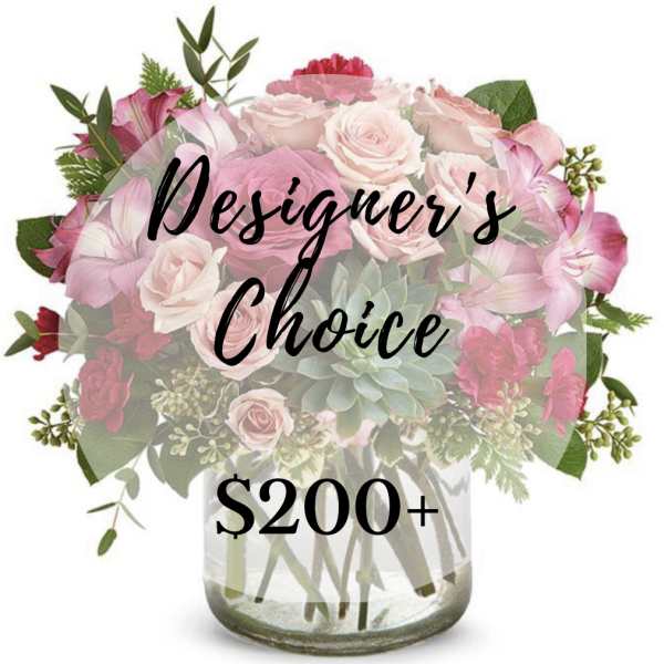 Designers Choice +200