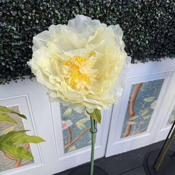 Oversized Medium Sheer Ethereal Voile Peony Bloom