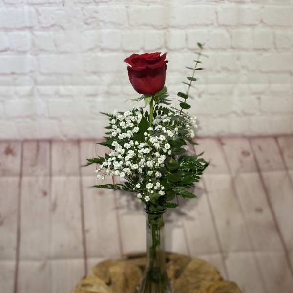Single red rose in a clear glass vase with white filler flowers