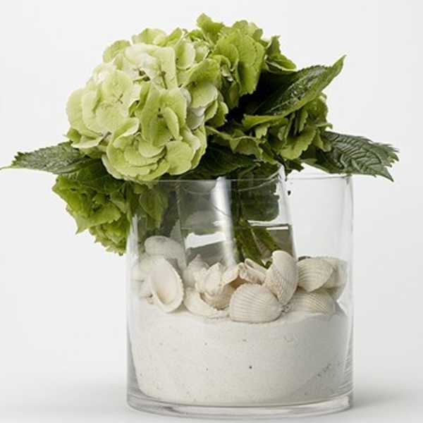 Green hydrangea arrangement in a clear glass vase with white shells and sand