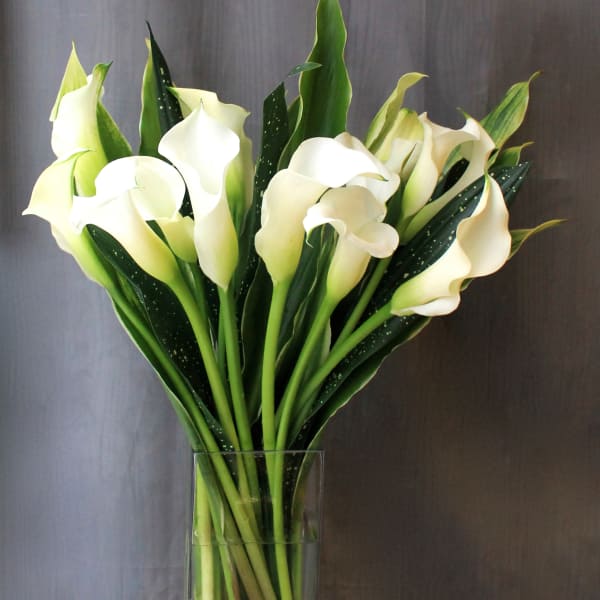 White calla lilies in a clear glass vase