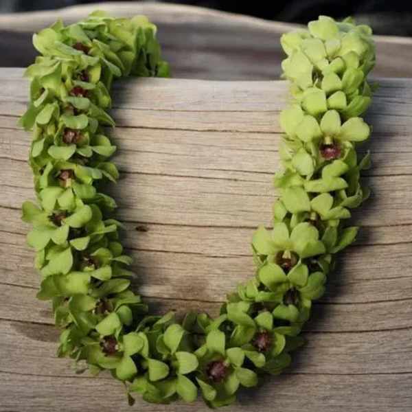 Green floral lei on a wooden surface
