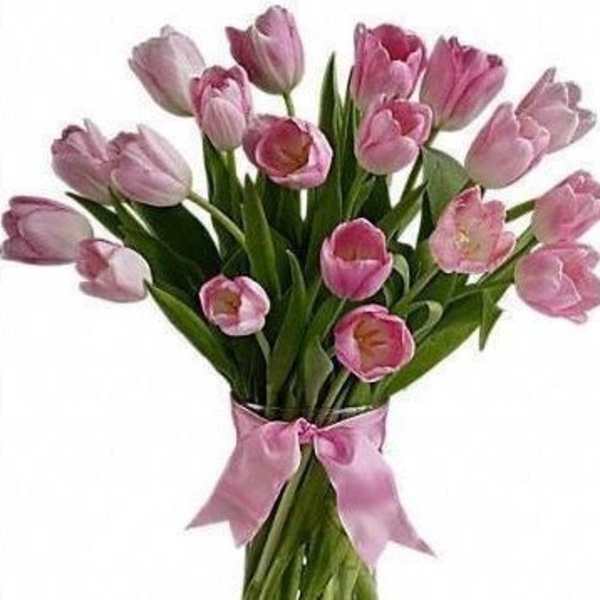 Tall vase of pink tulips with long stems, tied with a pink ribbon bow