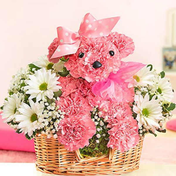 Princess Paws Poodle