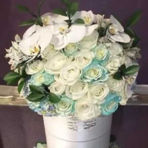 Cote d'Azur Signature Box