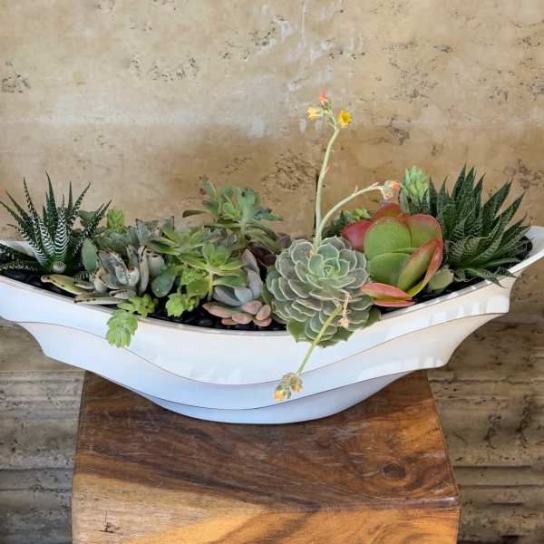 Succulent arrangement in a white boat-shaped planter