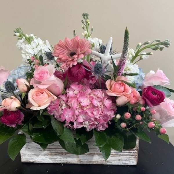 Coastal Spring Beauty