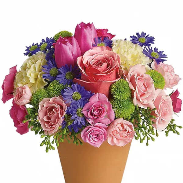Compact mixed arrangement of pink roses, tulips, carnations, and purple asters in a small terracotta pot.