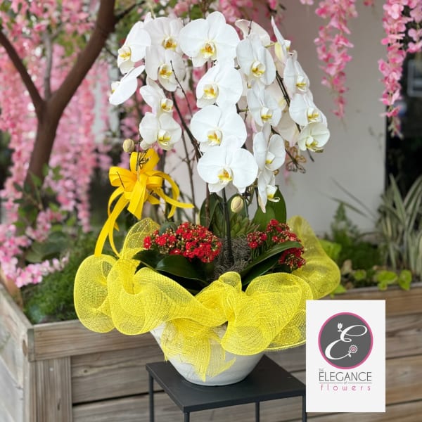 Orchid Arrangement #15