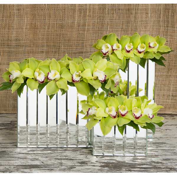Green orchids arranged in mirrored rectangular vases