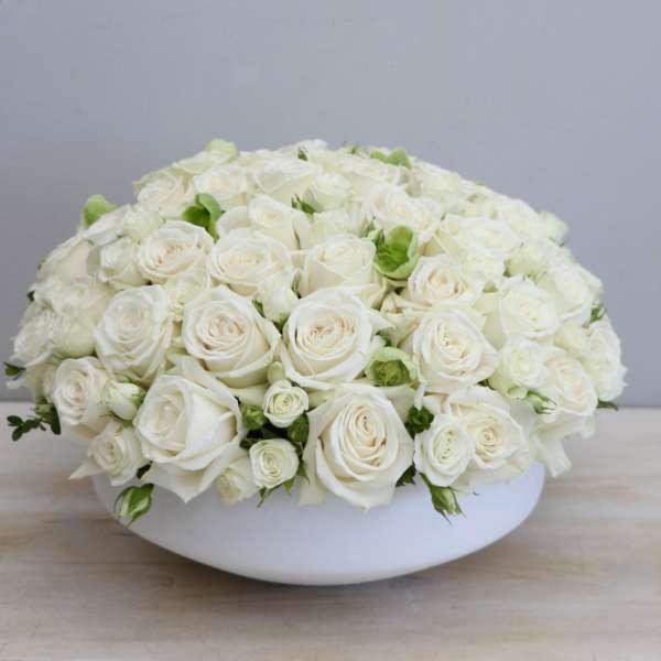 Low dome arrangement of cream white roses tightly packed in a round white bowl
