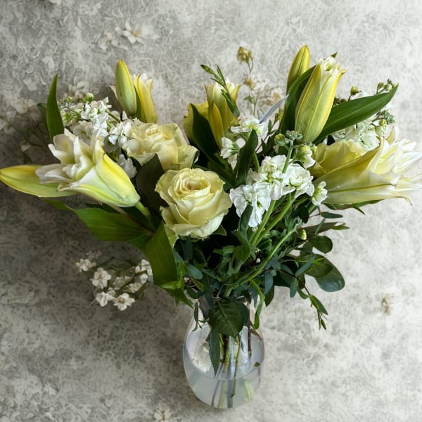 Light and memory - luz y memoria