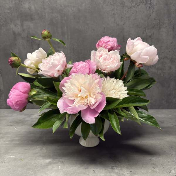 Pink and white peonies arranged in a white vase