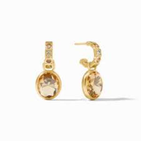 Jolie Hoop and Charm Earring