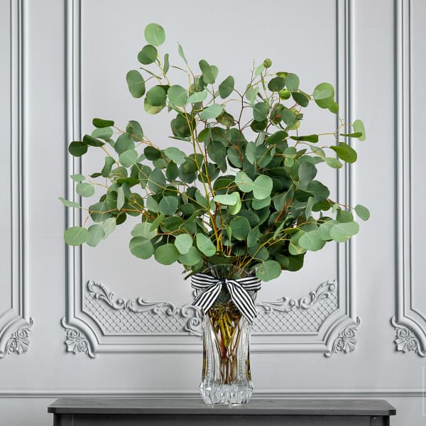 Tall eucalyptus arrangement in a clear glass vase with a striped ribbon