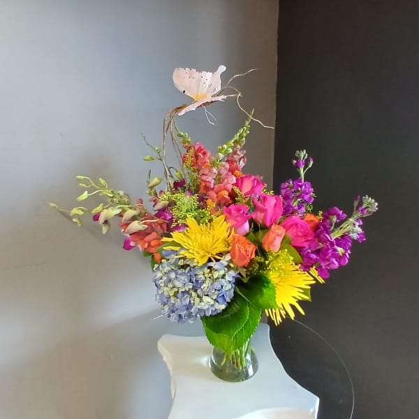 #736 Designer's Choice