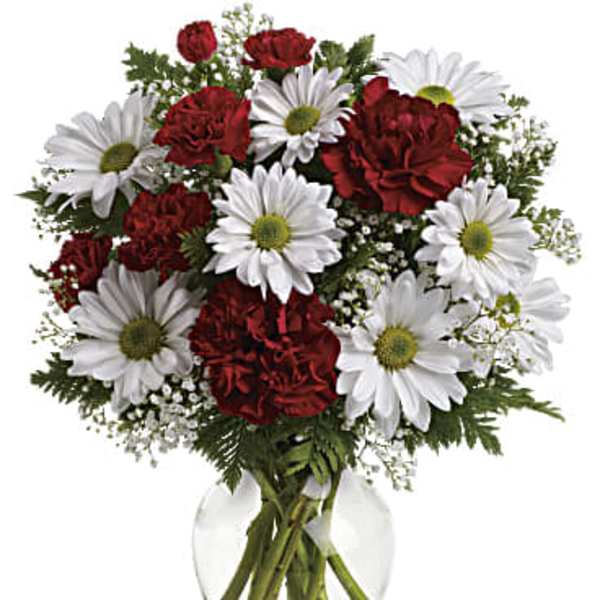 Red carnations and white daisies in a clear glass vase