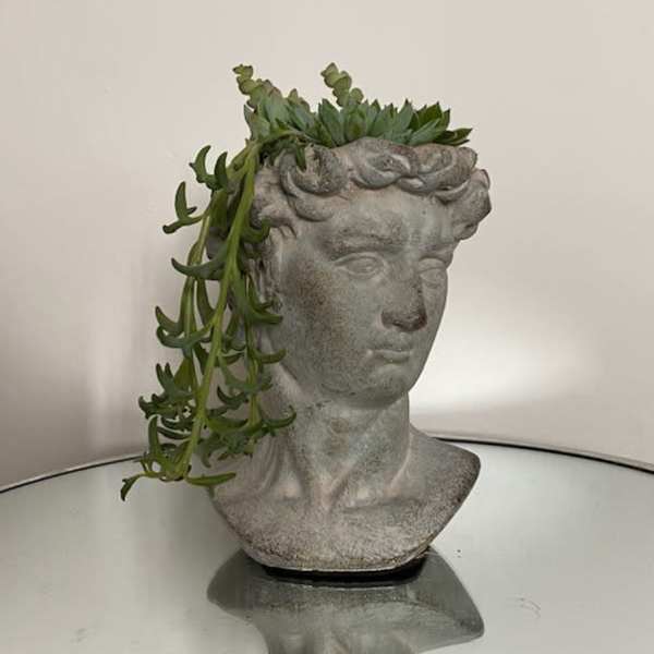 Succulent arrangement in a gray classical bust planter