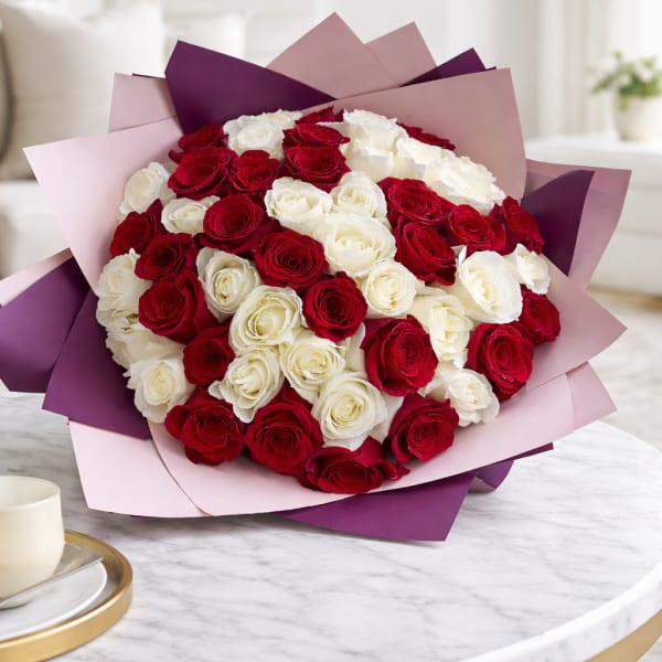 Bouquet of red and white roses wrapped in pink and purple paper