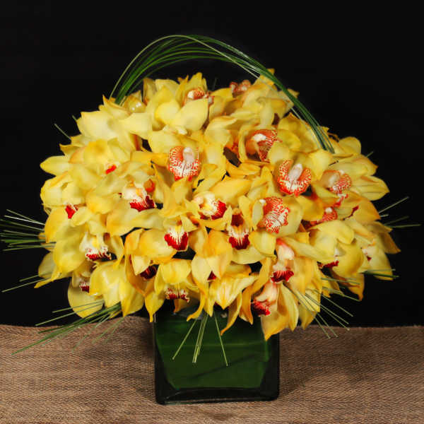 Yellow orchid arrangement in a dark green vase