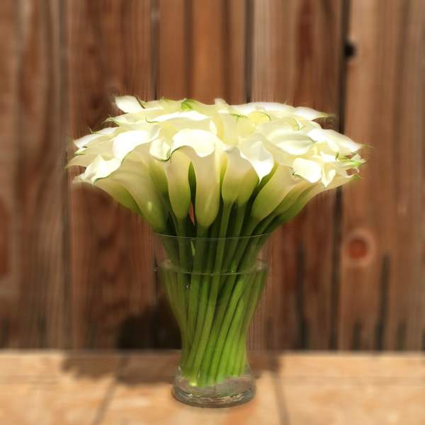 White calla lilies arranged in a clear glass vase