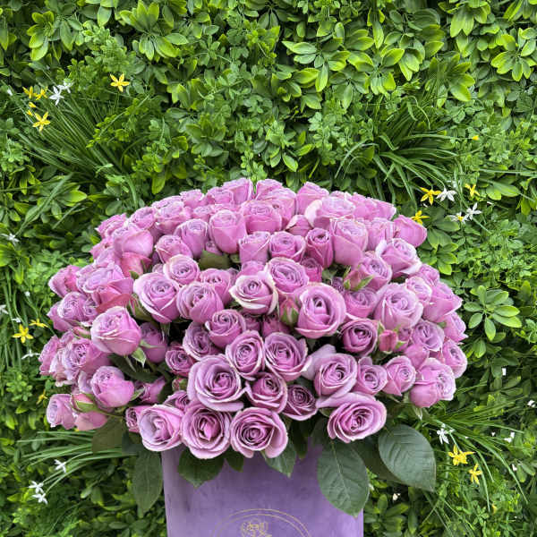 Lavender rose bouquet in a purple hat box
