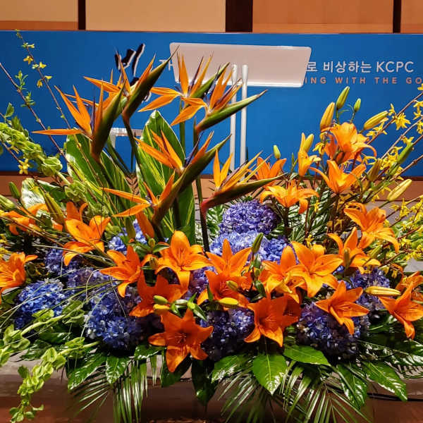 Large stage arrangement of orange lilies, blue hydrangeas, and birds-of-paradise in a sweeping design.