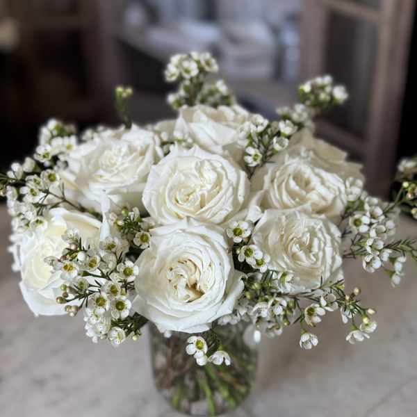 Urban Gardener White Roses