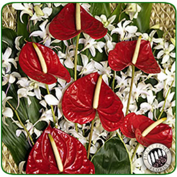 Red anthuriums and white orchids in a woven basket