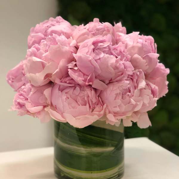 Round arrangement of light pink peonies in a clear cylinder vase with green leaf wrap.