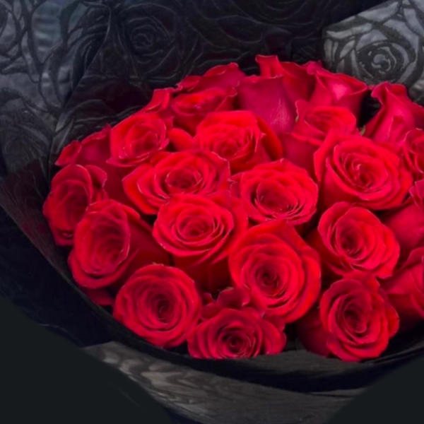 Tight bouquet of vivid red roses wrapped in embossed black paper