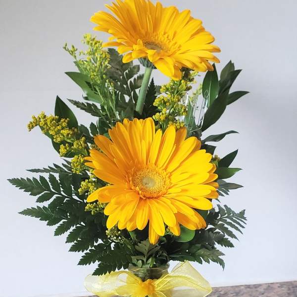 Yellow gerbera daisies in a glass vase with a yellow ribbon