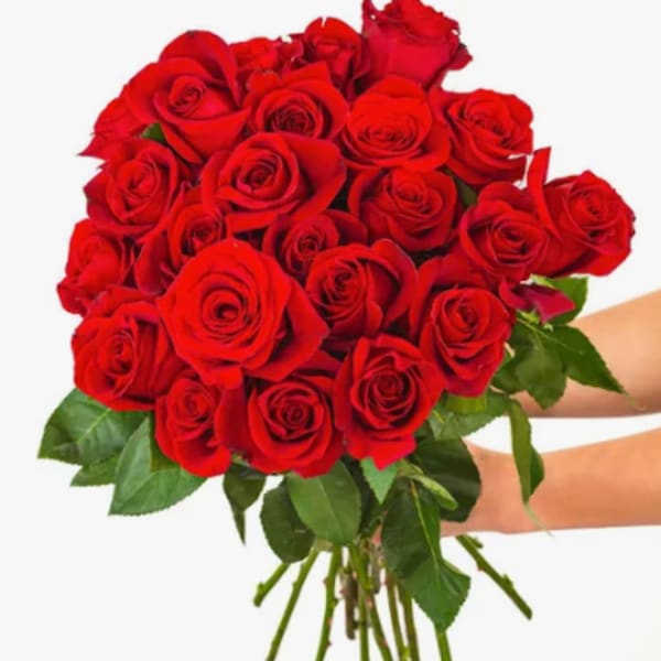 Bouquet of red roses with green leaves