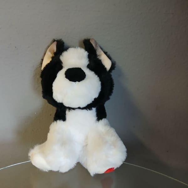 Black and white plush dog sitting on a glass surface