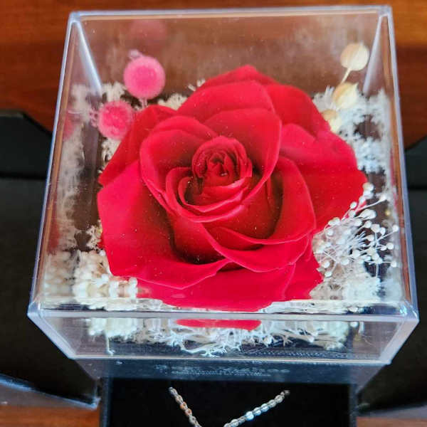 Red rose in a clear display box with a heart pendant necklace below