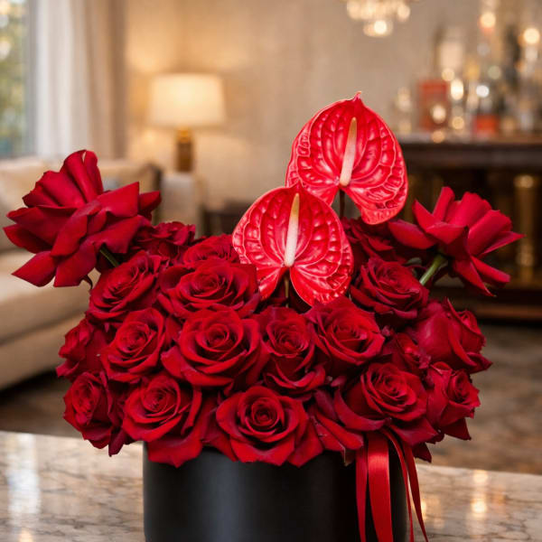 Red roses and red anthuriums arranged in a black box with ribbon