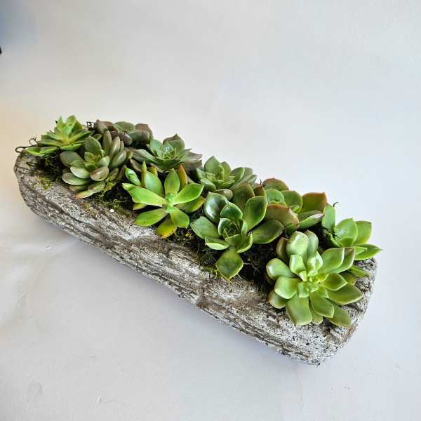 Succulent Log Planter