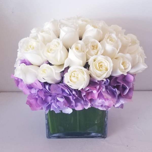 White roses and purple hydrangeas in a square glass vase