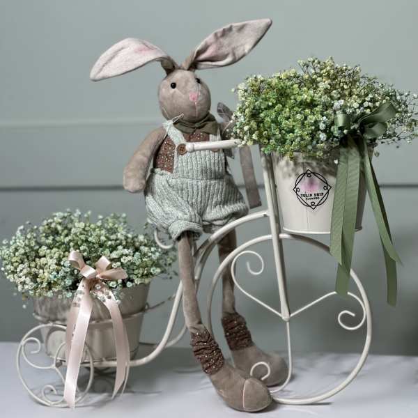 Bunny Riding a Bicycle