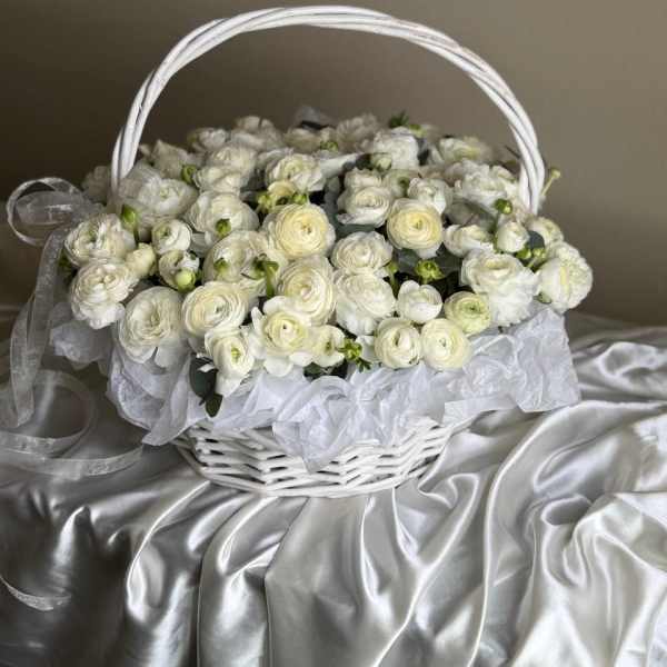 White Ranunculus: The Flower That Welcomes Spring