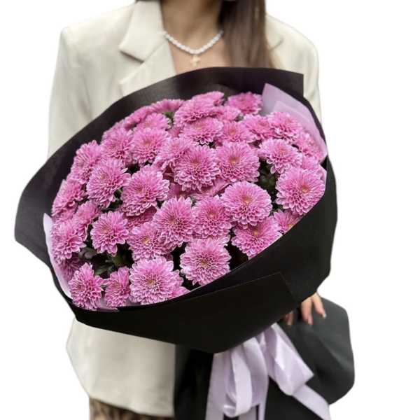 Delicate pink chrysanthemums in black packaging.