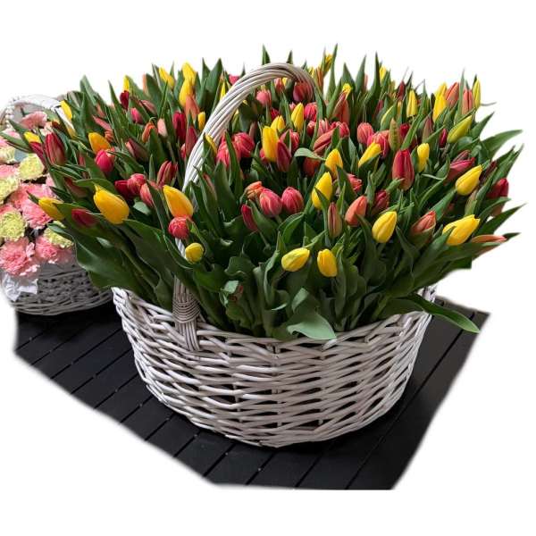 200 Tulips — A Sea of Emotions in One Basket