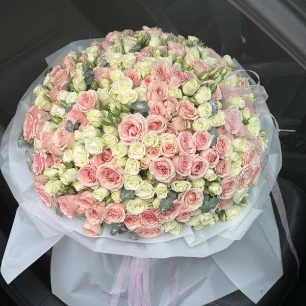 Timeless rose complexion