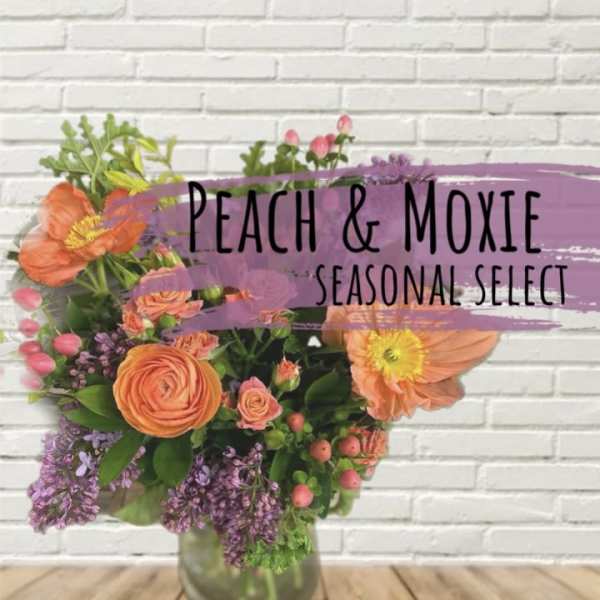 Peach & Moxie Designer Select