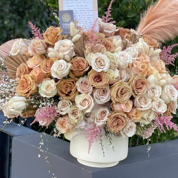 Café Au Liat Colors