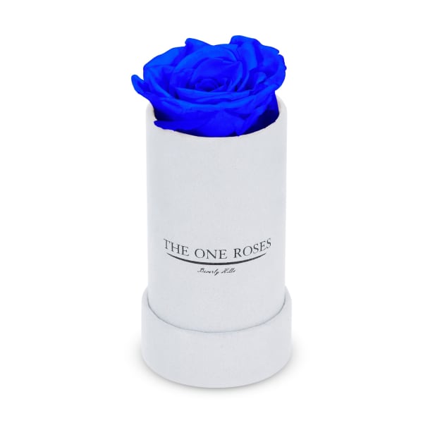 Suede Single | The One White Box Sapphire Blue Rose