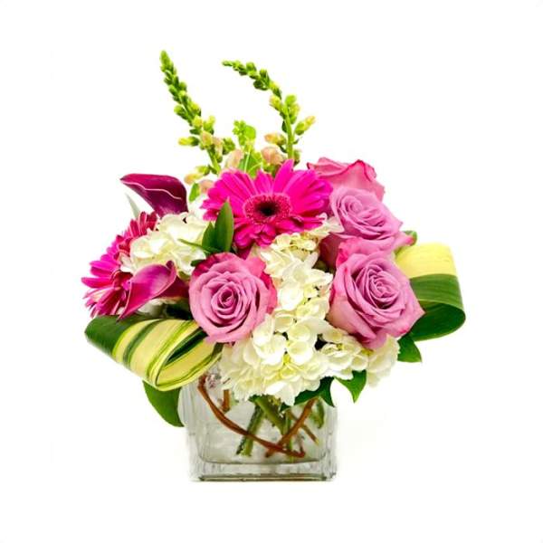 Pink and white flower arrangement with roses and gerbera daisies in a glass cube vase with curled green and yellow leaves.